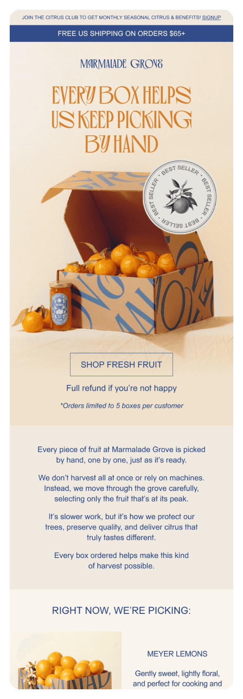 Email design