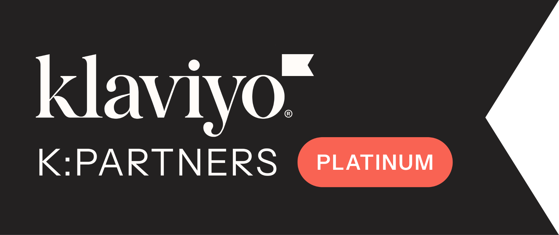 Klaviyo Master Platinum Partner
